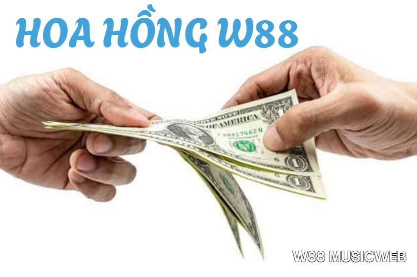 Hoa hồng W88 Hoa hồng W88